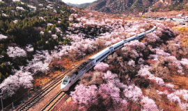 ?????????????????????????????????