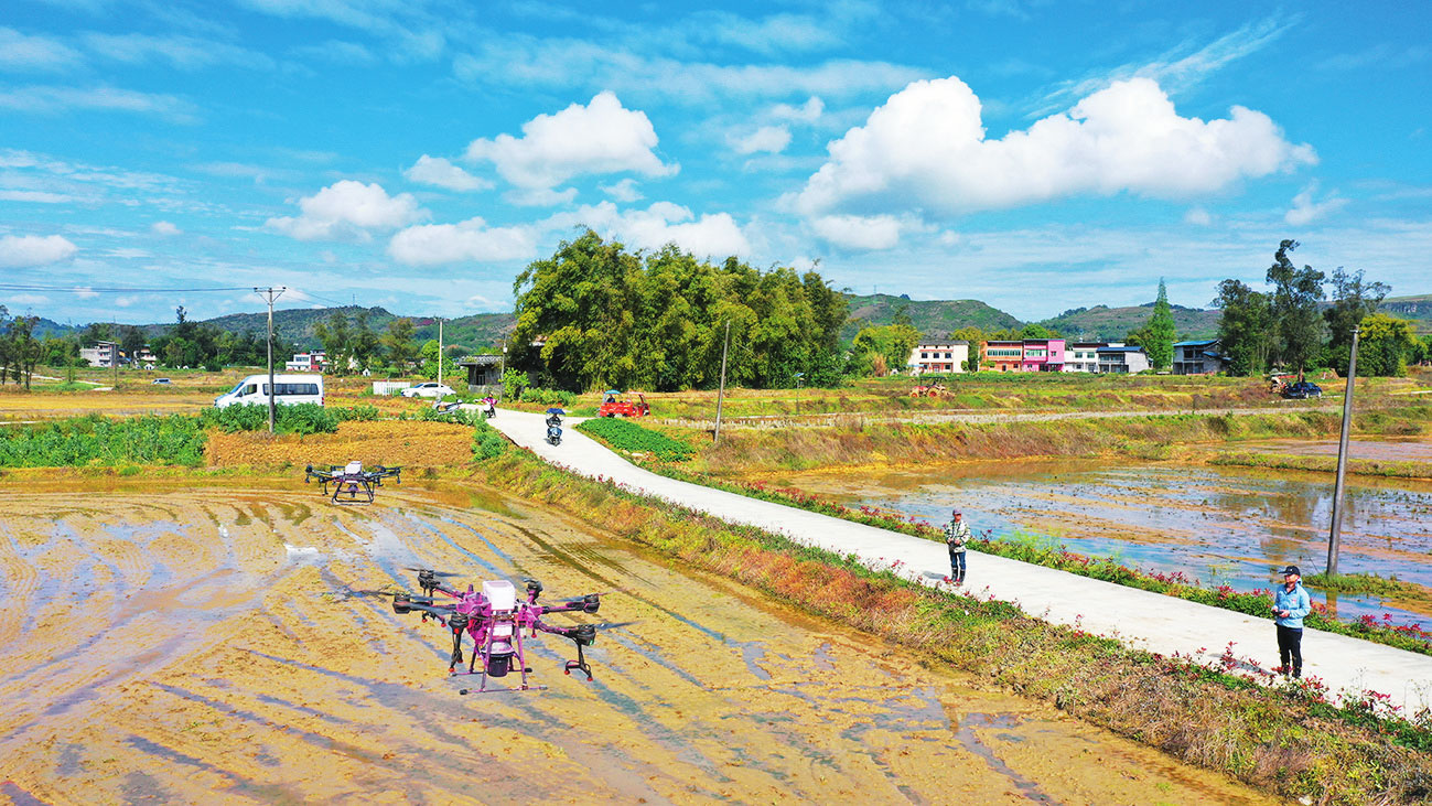 ????????????????????????????????????????????????????????????????????????????????????????????????????????????????????????????????? ???????????????????????