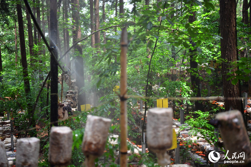 ??????????????????????????????????????????????? 