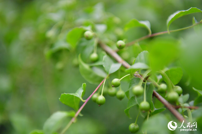 ??????????????????????????????????????????????? 