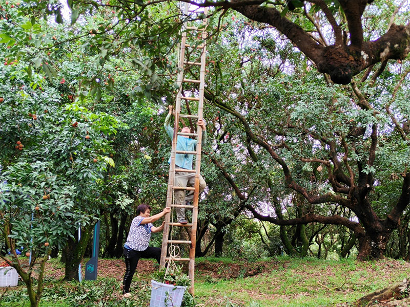 ???????????????????????????????????????????????????????????????????????????????????????????????????????