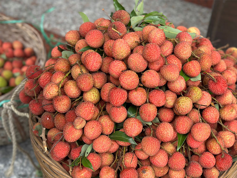 ??????????????????????????????????????????????????????????????????????????? ?????????????????????????????????????????????????????? 