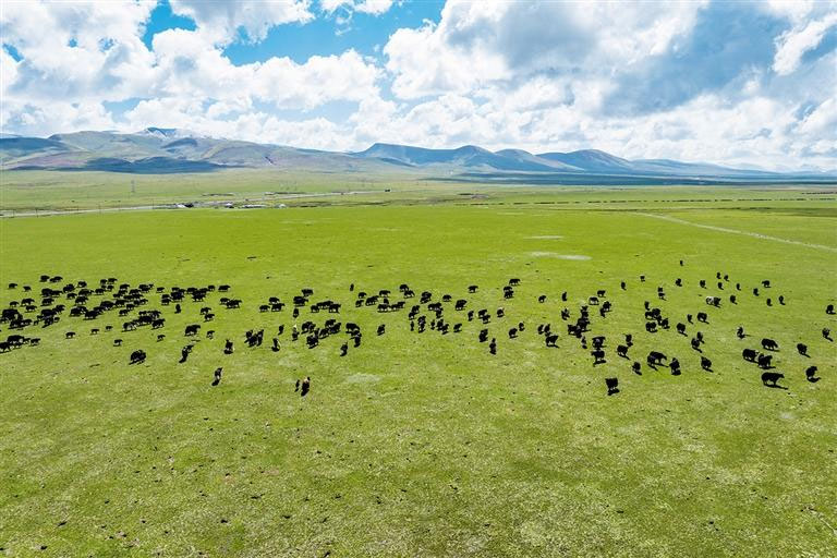 ?????? ??????????????????????????????????????????????????????????????????????????????????????????????????????????? ??????????? ?????????????????????? ????????????????????????????????????????????????????????????????????????????????????????????????