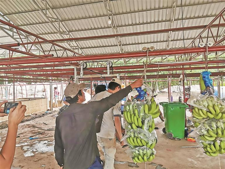 ????????????????????????????????????????????????????????????????????????????????????????????????????????????????????????????????????????????????????????????????????????? ?????????????????????????????????????????????????????????????????????????????????·?????????????????????