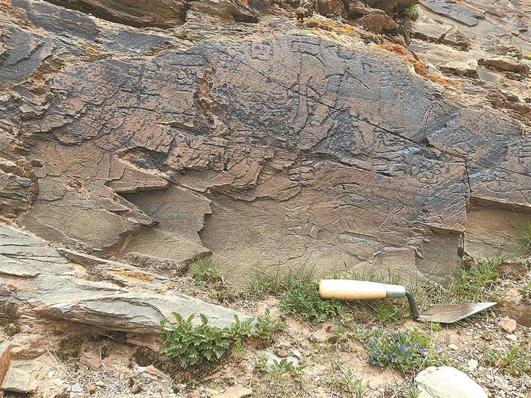 ?????????????????????????????????